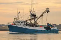 Purse seiner అమ్మకానీకి వుంది