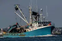Purse seiner అమ్మకానీకి వుంది
