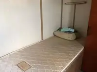 టోబోట్ అమ్మకానికి