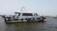 పైలట్ పడవ అమ్మకానికి
