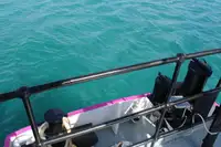 General Cargo/Multi-purpose అమ్మకానికి