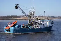 Purse seiner అమ్మకానీకి వుంది