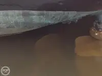 టోబోట్ అమ్మకానికి