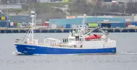 Purse seiner అమ్మకానీకి వుంది
