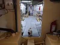 General Cargo/Multi-purpose అమ్మకానికి