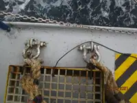 రీఫర్ నౌక అమ్మకానికి