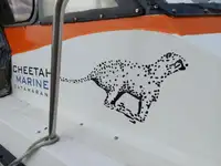 కాటమరాన్ అమ్మకానికి
