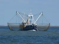 Trawler అమ్మకానీకి వుంది