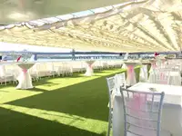 క్రూయిజ్ ఓడ అమ్మకానికి