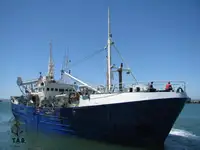 Purse seiner అమ్మకానీకి వుంది
