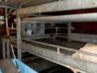 లాంగ్‌లైనర్ అమ్మకానికి