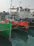 టోబోట్ అమ్మకానికి