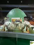 రో-రో షిప్ అమ్మకానికి