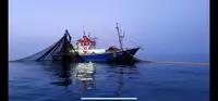 Trawler అమ్మకానీకి వుంది