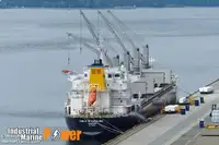 బల్క్ క్యారియర్ అమ్మకానికి