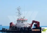 బహుళ ప్రయోజనం అమ్మకానికి