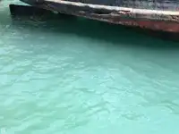 టోబోట్ అమ్మకానికి