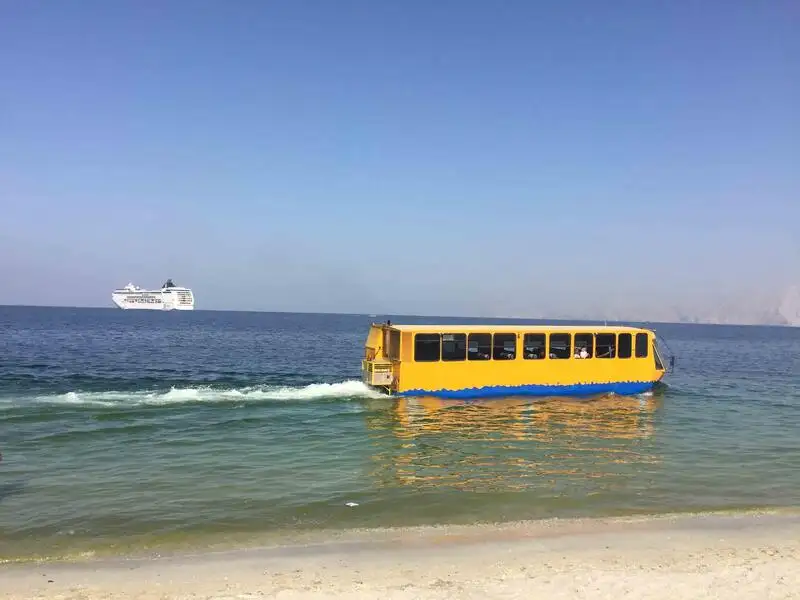 ఉభయచర అమ్మకానికి
