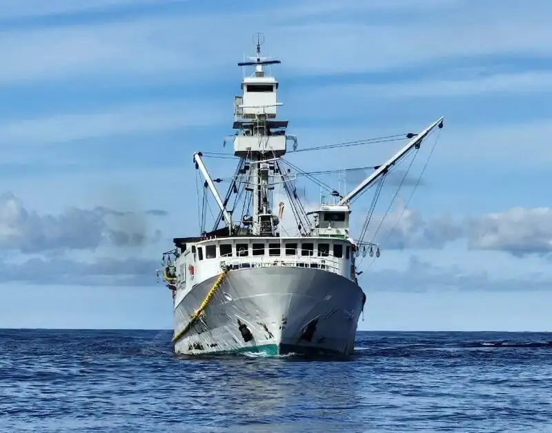 సీనర్ అమ్మకానీకి వుంది