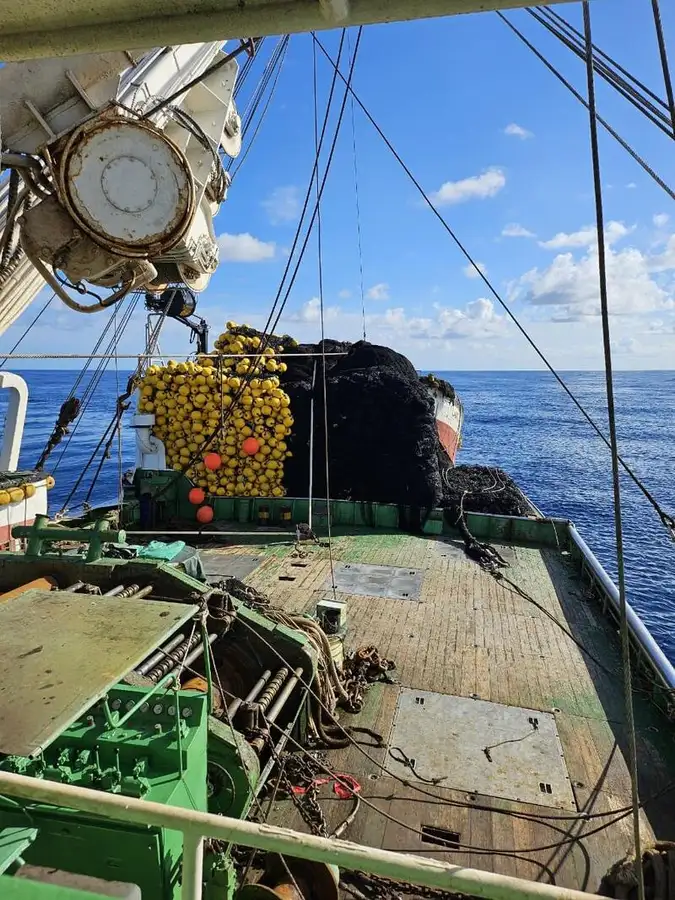 సీనర్ అమ్మకానీకి వుంది