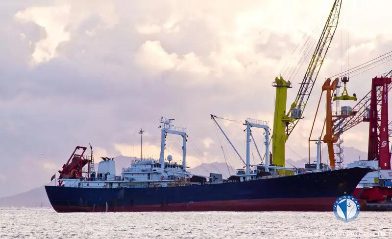 రీఫర్ షిప్ అమ్మకానీకి వుంది