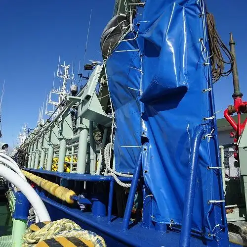 సీనర్ అమ్మకానీకి వుంది