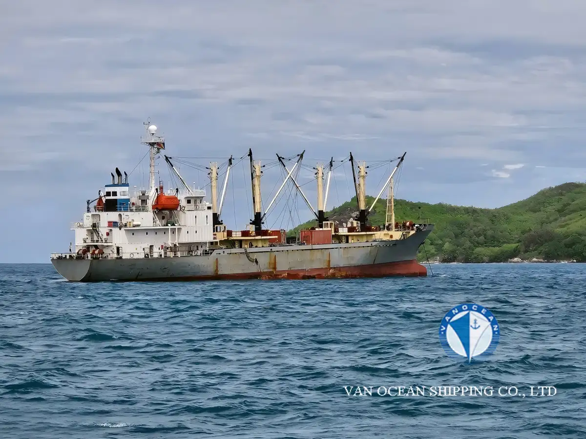 రీఫర్ షిప్ అమ్మకానీకి వుంది