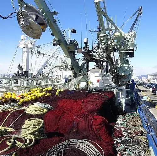 సీనర్ అమ్మకానీకి వుంది