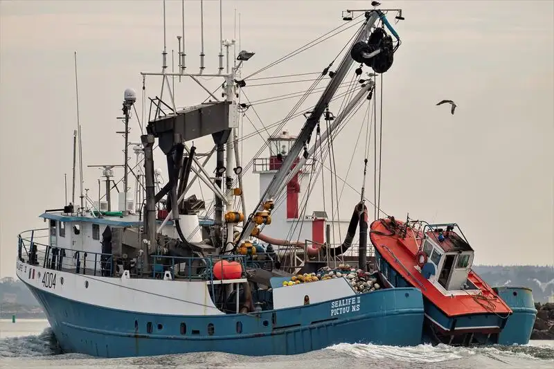సీనర్ అమ్మకానీకి వుంది