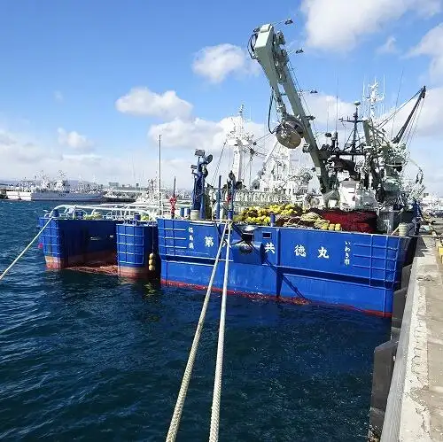 సీనర్ అమ్మకానీకి వుంది