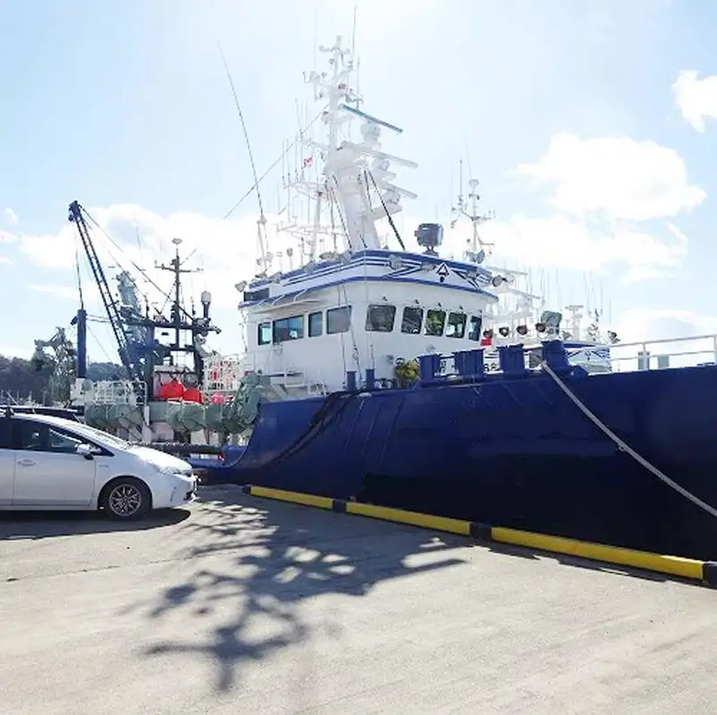 సీనర్ అమ్మకానీకి వుంది