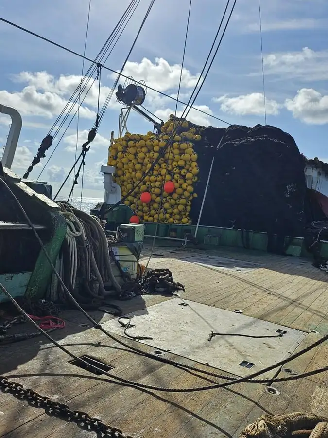 సీనర్ అమ్మకానీకి వుంది