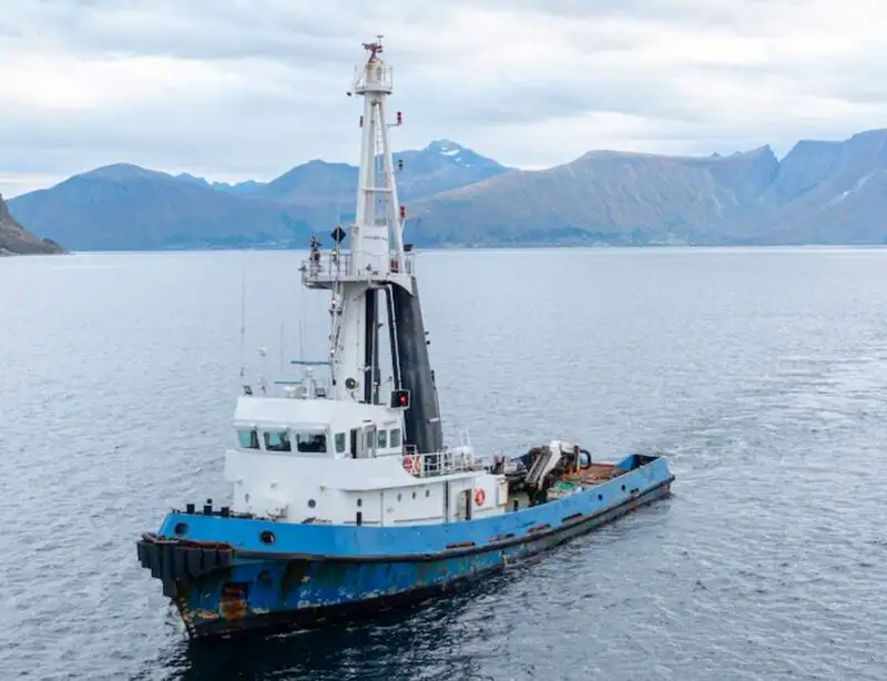 తోపుడు పడవ అమ్మకానీకి వుంది