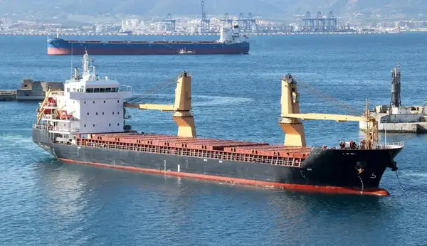 Bulk carrier for sale