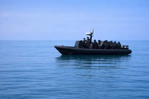 Rigid inflatable boat for sale