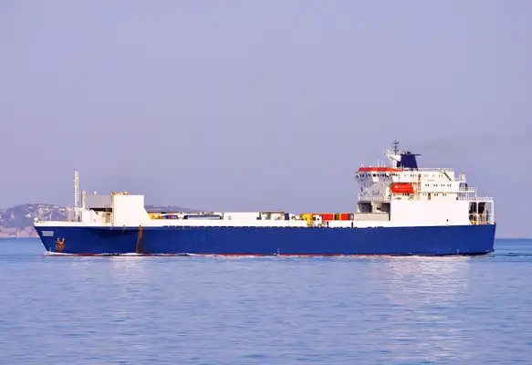 Bulk carrier for sale