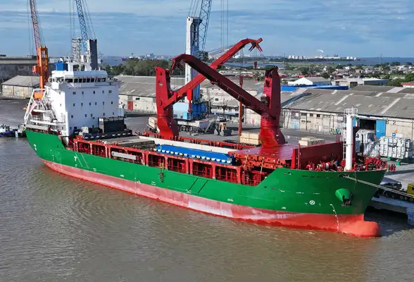 Reefer ship for sale