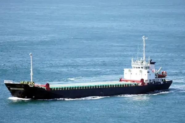 Bulk carrier for sale