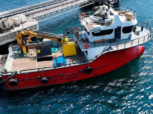 Work boats for sale