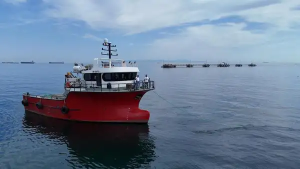 Work boats for sale