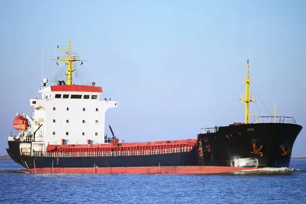 Bulk carrier for sale