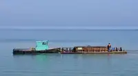 పని పడవలు అమ్మకానీకి వుంది