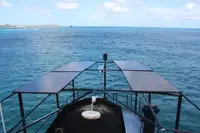 బహుళ ప్రయోజన అమ్మకానీకి వుంది