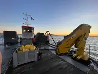 బహుళ ప్రయోజన అమ్మకానీకి వుంది