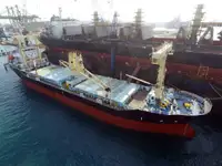 బల్క్ క్యారియర్ అమ్మకానీకి వుంది