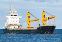 బల్క్ క్యారియర్ అమ్మకానీకి వుంది