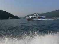 ఫెర్రీ నౌక అమ్మకానీకి వుంది