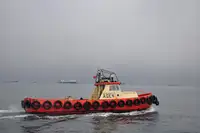 తోపుడు పడవ అమ్మకానీకి వుంది