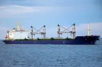 బల్క్ క్యారియర్ అమ్మకానీకి వుంది