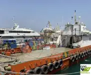 గాలి వ్యవసాయ నౌక అమ్మకానీకి వుంది